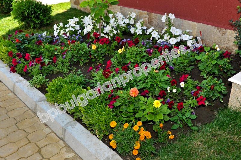 Люксозные апартаменты на продажу в курорте Святой Влас Люксозные апартаменты на продажу в курорте Святой Влас