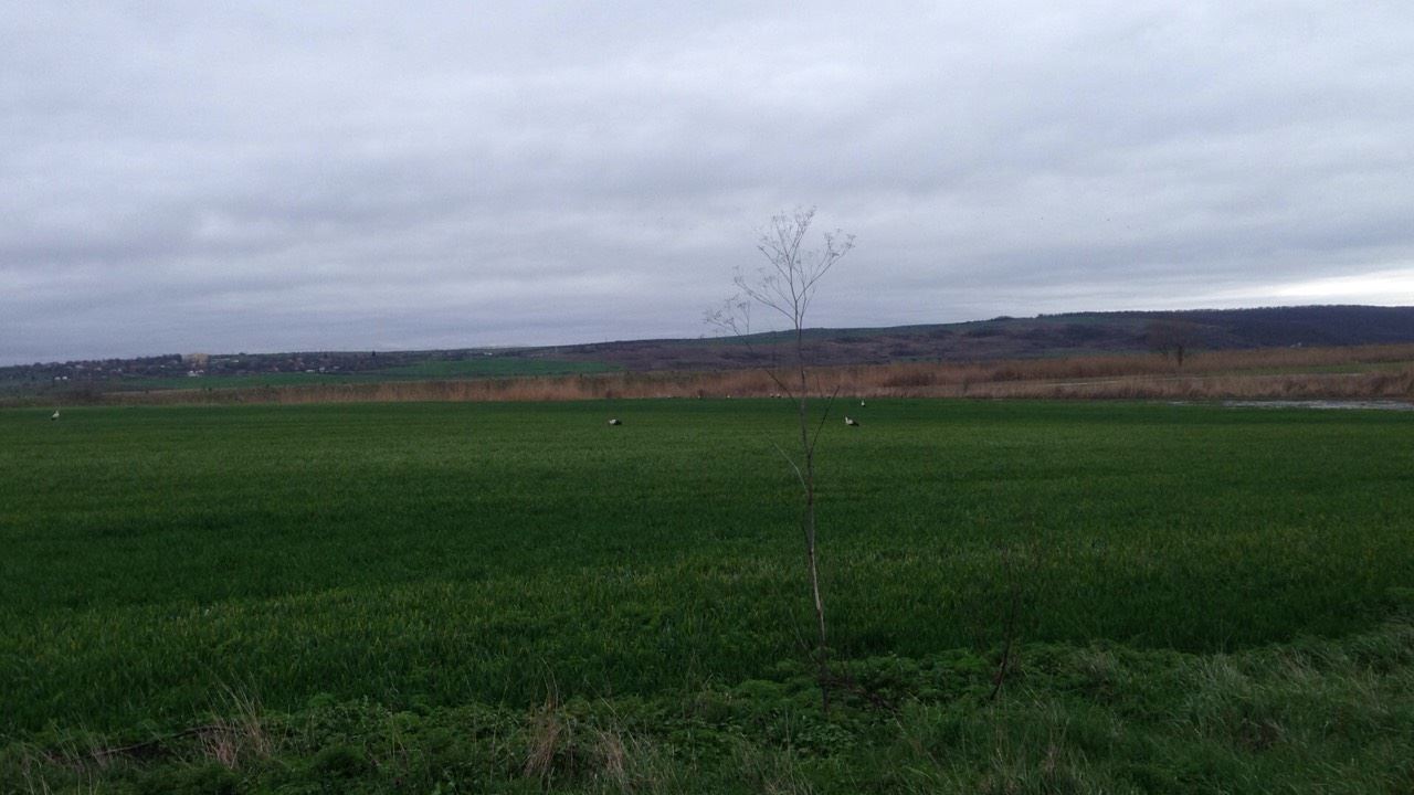 Меблированный отдельный дом с участком близко от Бургаса Меблированный отдельный дом с участком близко от Бургаса