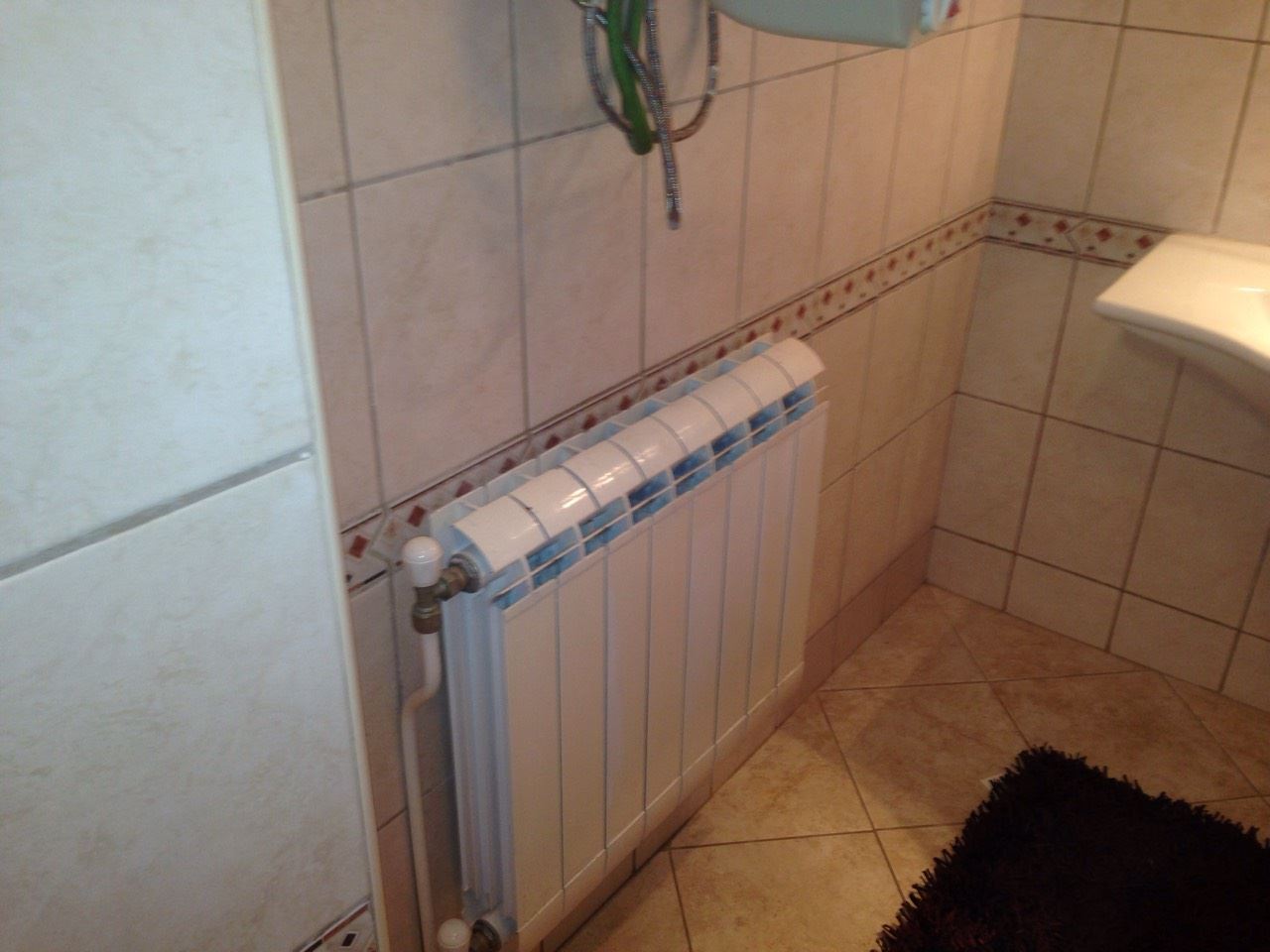 Меблированный отдельный дом с участком близко от Бургаса Меблированный отдельный дом с участком близко от Бургаса