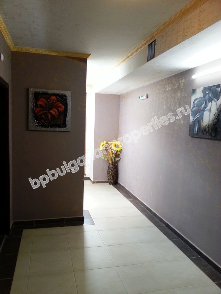 Выгодная студия близко к пляжу на продажу в курорте Елените