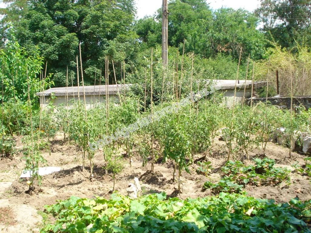 Сельский дом после реконструкции для ПМЖ Сельский дом после реконструкции для ПМЖ