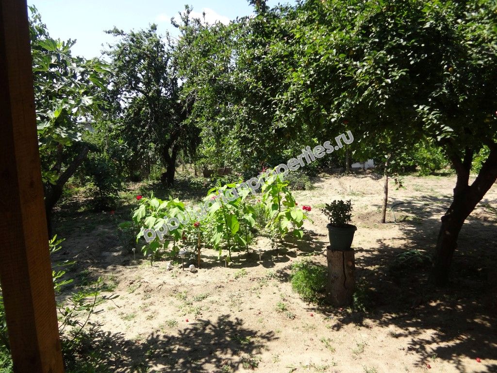 Новый одноэтажный дом на продажу в жилом квартале города Варна