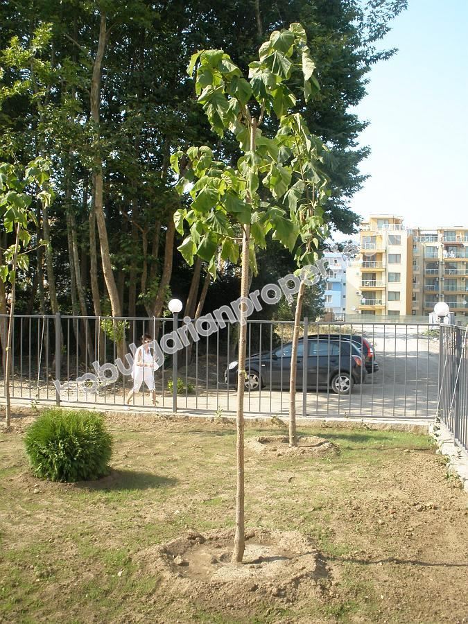 Дешевая студия с бонусом кухня на продажу в курорте Солнечный Берег