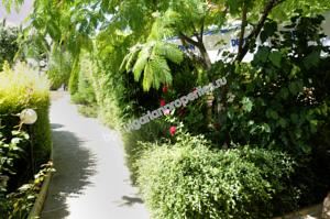 Выгодная вторичная продажа! Трехкомнатная квартира с видом на море в 100 м от пляжа Золотых Песков