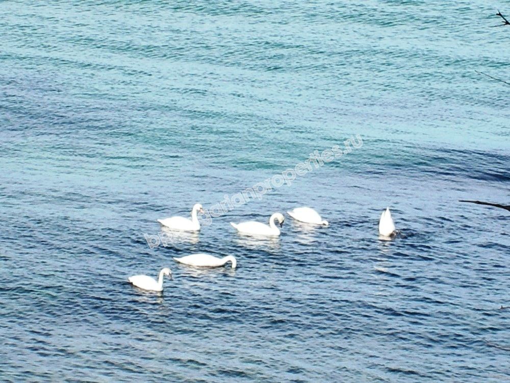 Люксовая двухкомнатная квартира на берегу моря на продажу в курорте Лозенец Люксовая двухкомнатная квартира на берегу моря на продажу в курорте Лозенец