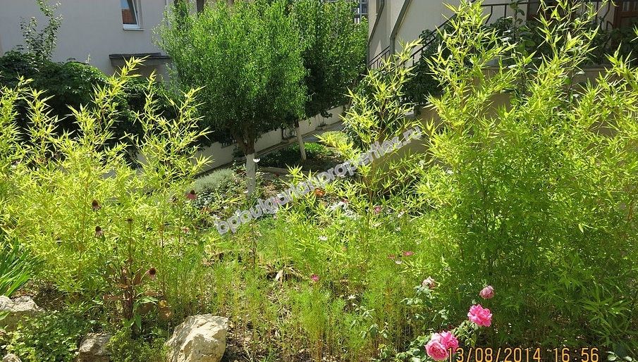 Двухкомнатная меблированная квартира близко к пляжу на продажу в курорте Солнечный Берег