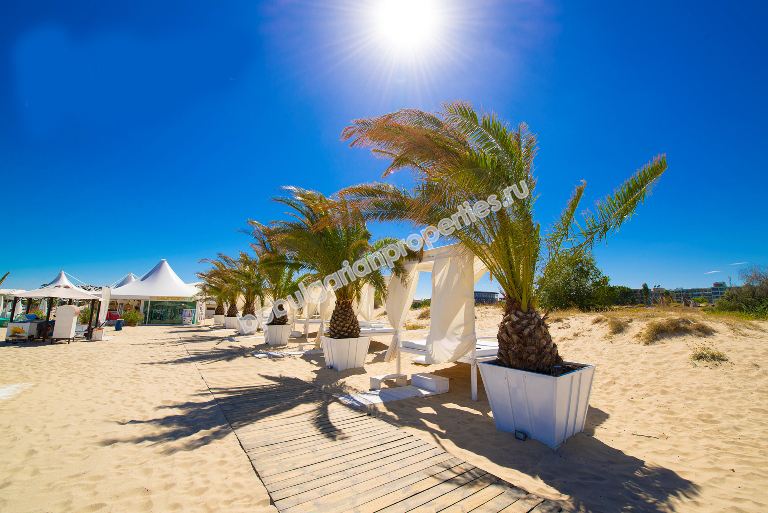 Шикарная меблированная студия на продажу в элитном комплексе в курорте Солнечный берег