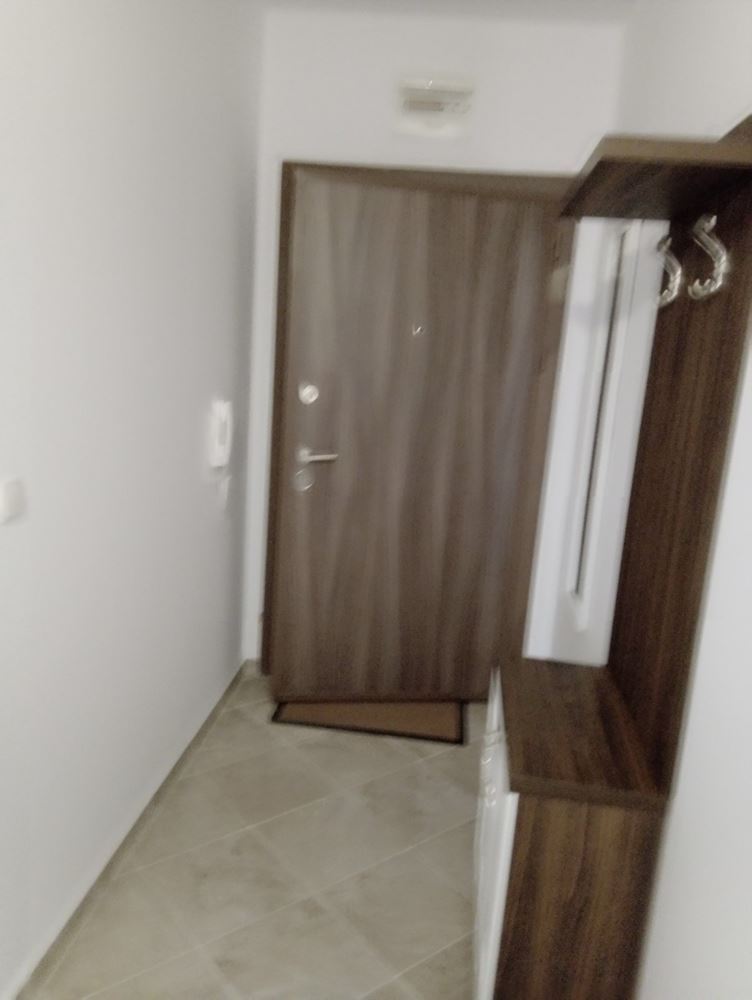 Меблированные апартаменты для семейного летнего отдыха у моря