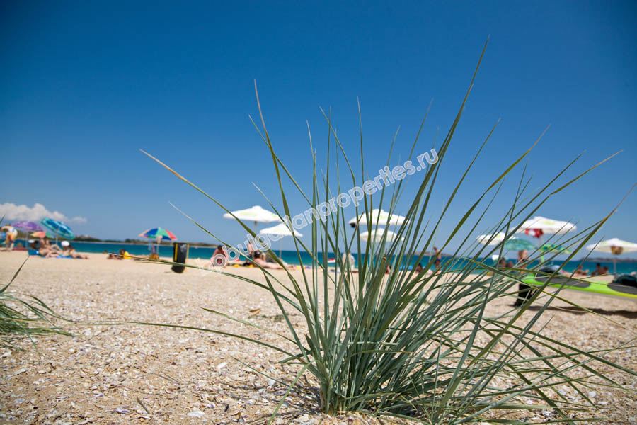 Шикарная двухкомнатная квартира на продажу на первой линии моря в городе Созополь