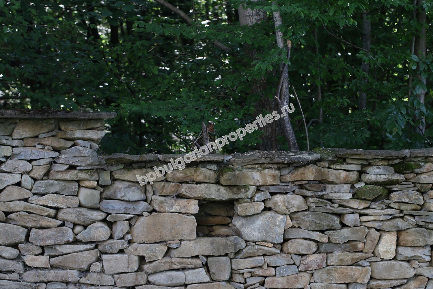 Работающий гостевой дом / гостиница на продажу в деревне вблизи города Троян Работающий гостевой дом / гостиница на продажу в деревне вблизи города Троян