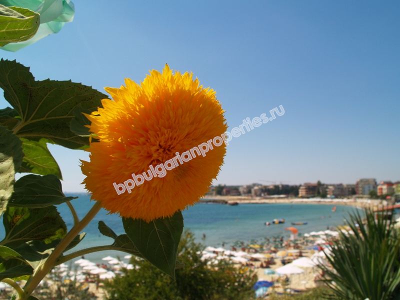 Новая двухкомнатная квартира на продажу близко к пляжу в городе Несебр