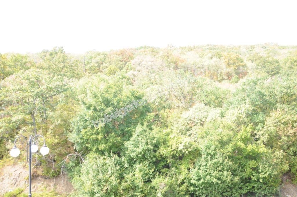 Меблированная студия в закрытом комплексе по выгодной цене