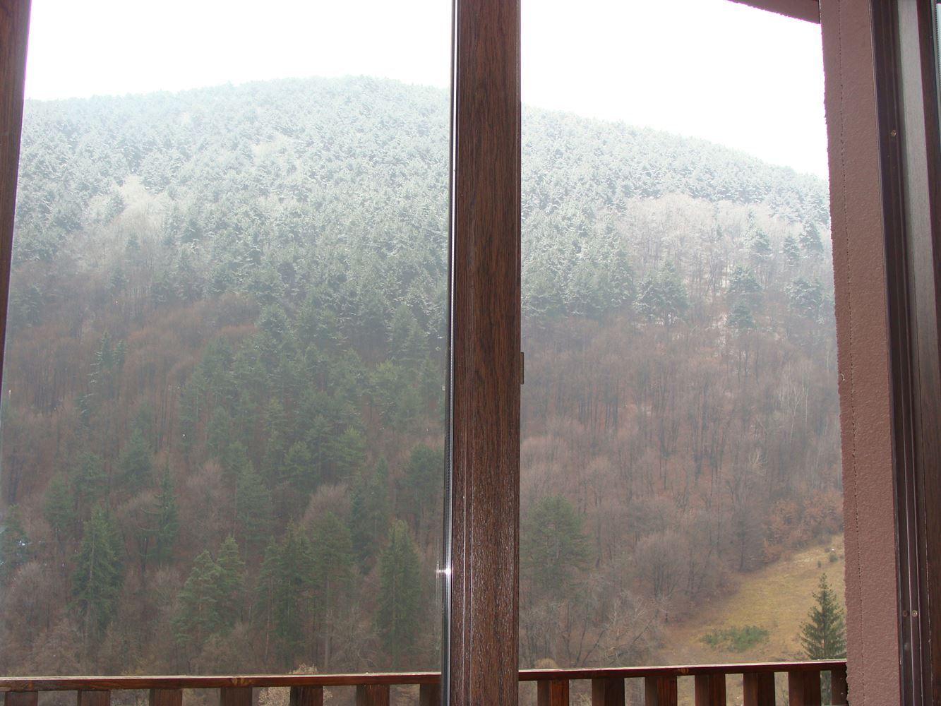 Апартаменты-люкс в комплексе 