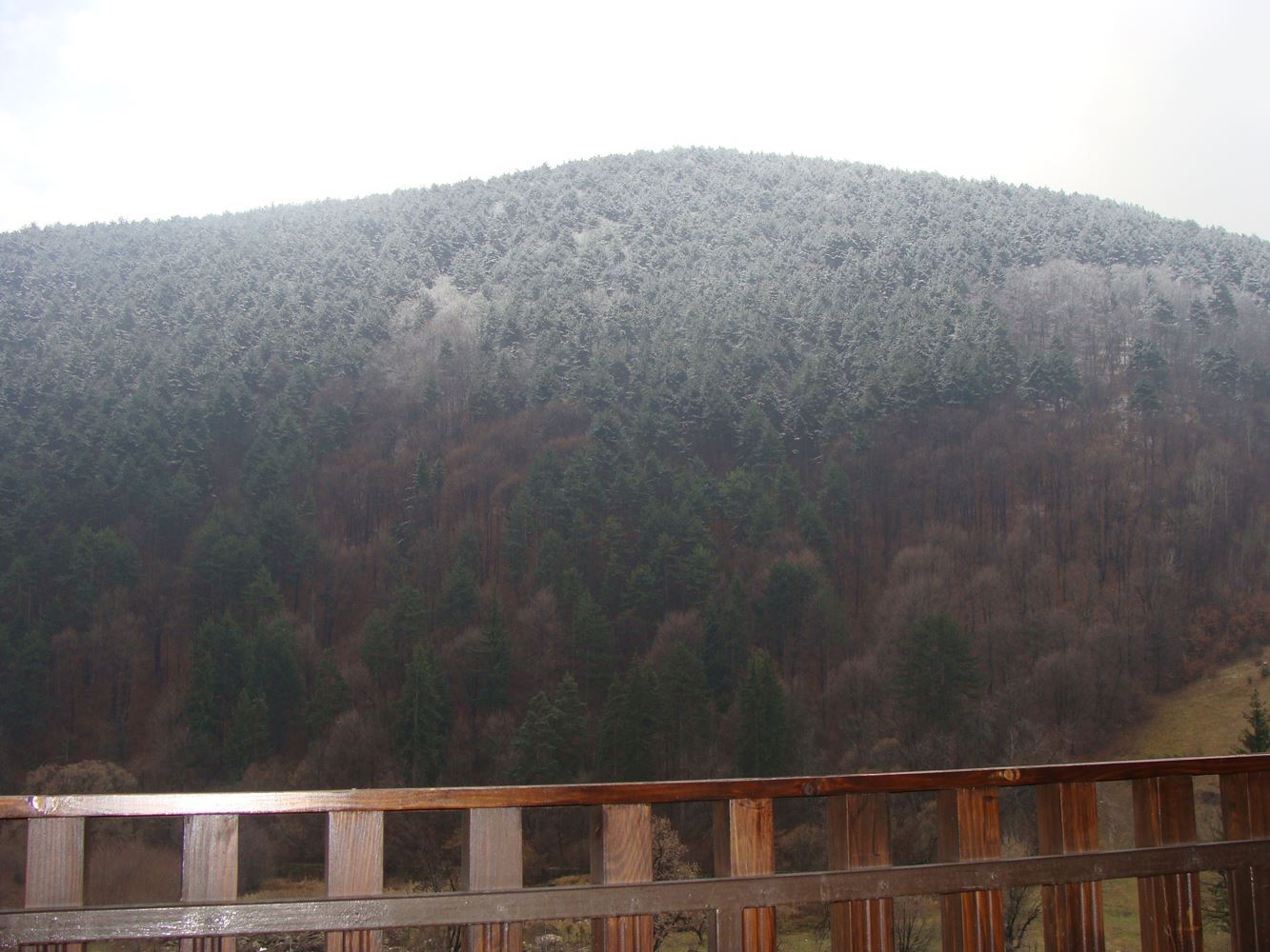 Апартаменты-люкс в комплексе 