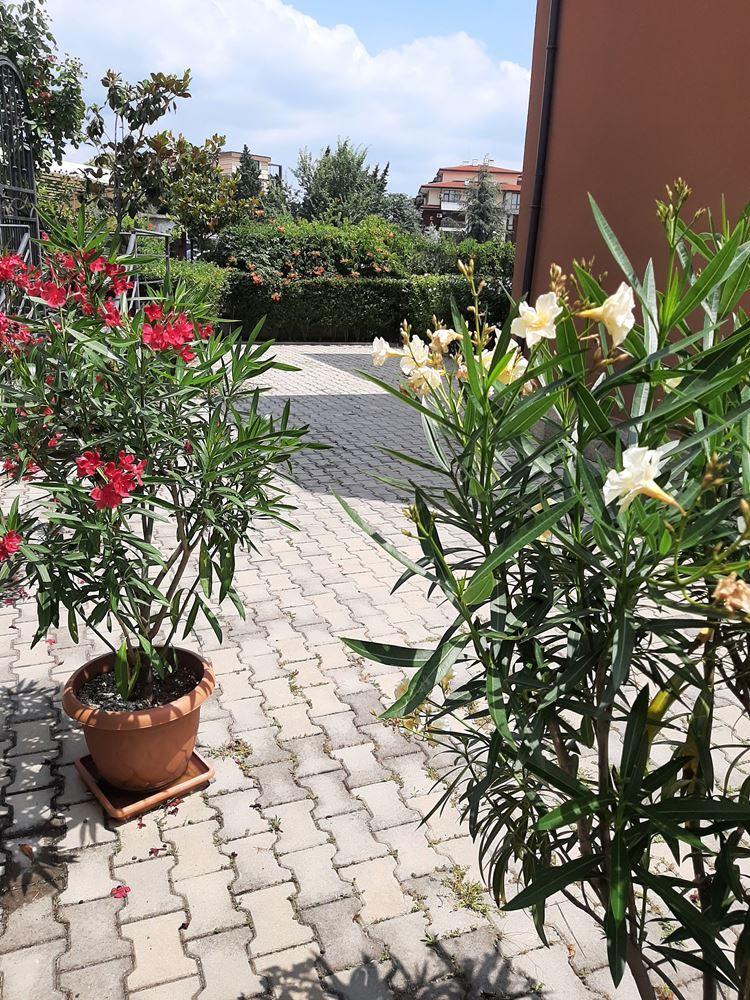 Двухкомнатная квартира в жилом доме близко от моря